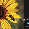 Clint K Business card